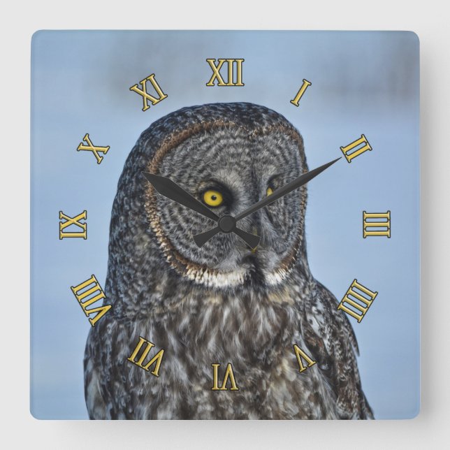 Sitting Great Grey Owl Wildlife Photo Portrait II Square Wall Clock (Front)