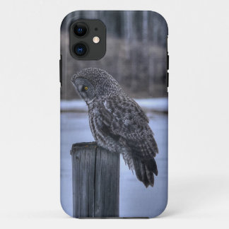 Sitting Great Grey Owl Wildlife Photo Portrait III iPhone 11 Case