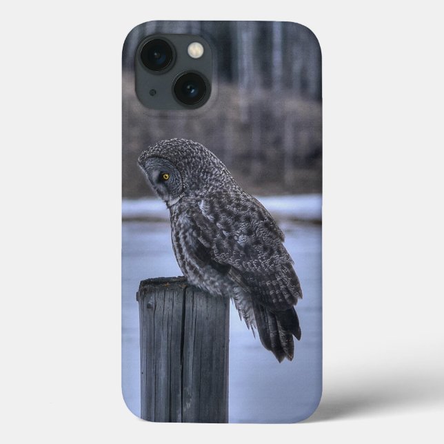 Sitting Great Grey Owl Wildlife Photo Portrait III Case-Mate iPhone Case (Back)