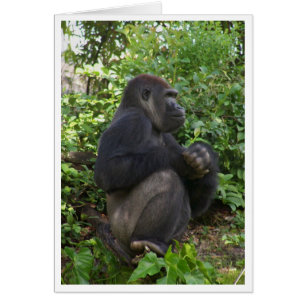 Sitting,maybe thinking,but probably,just sitting