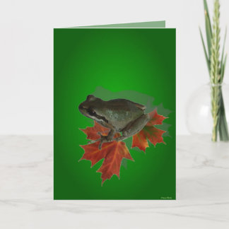 Sitting On Leaves Card