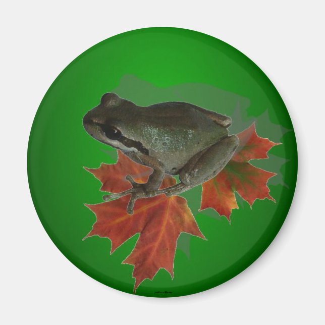 Sitting On Leaves Magnet (Front)