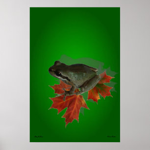 Sitting On Leaves Poster