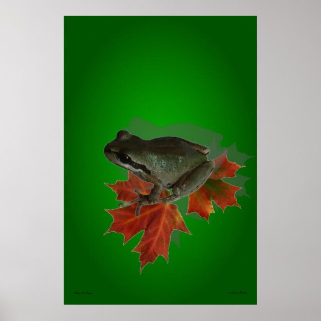 Sitting On Leaves Poster (Front)