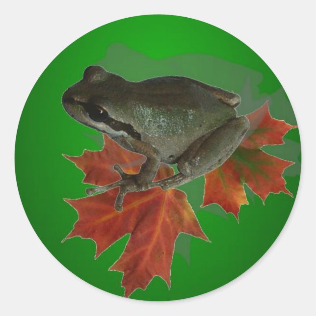 Sitting On Leaves Sticker (Front)