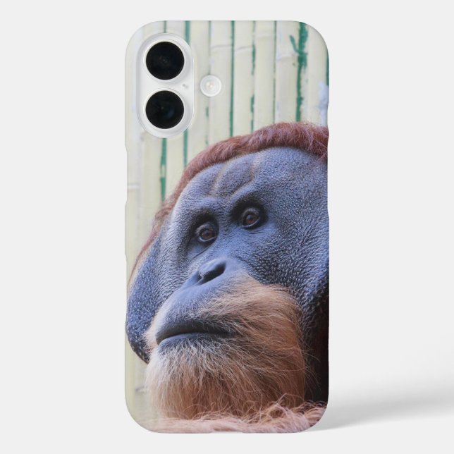 Sitting Orang Utan... Case-Mate iPhone Case (Back)