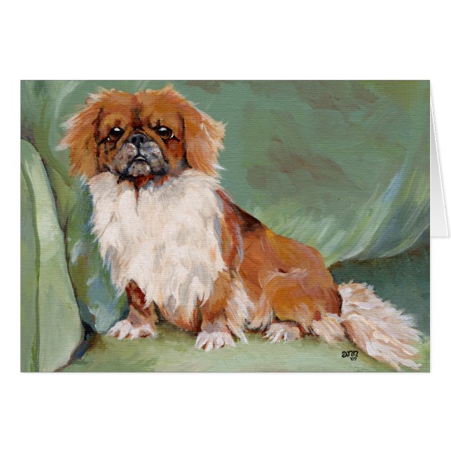 Sitting Pekingese (Front Horizontal)