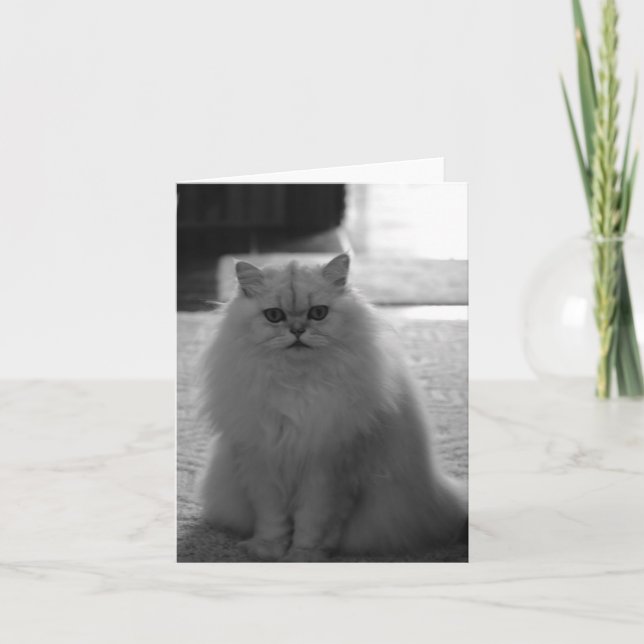 Sitting Pretty Card (Front)