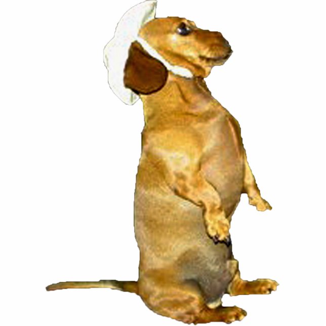 Sitting Pretty Dachshund Sculpture Standing Photo Sculpture (Front)