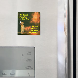 Sitting Pretty For Lots of Treats Magnet