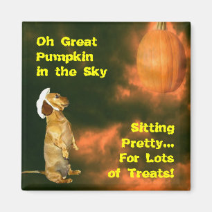 Sitting Pretty For Lots of Treats Magnet