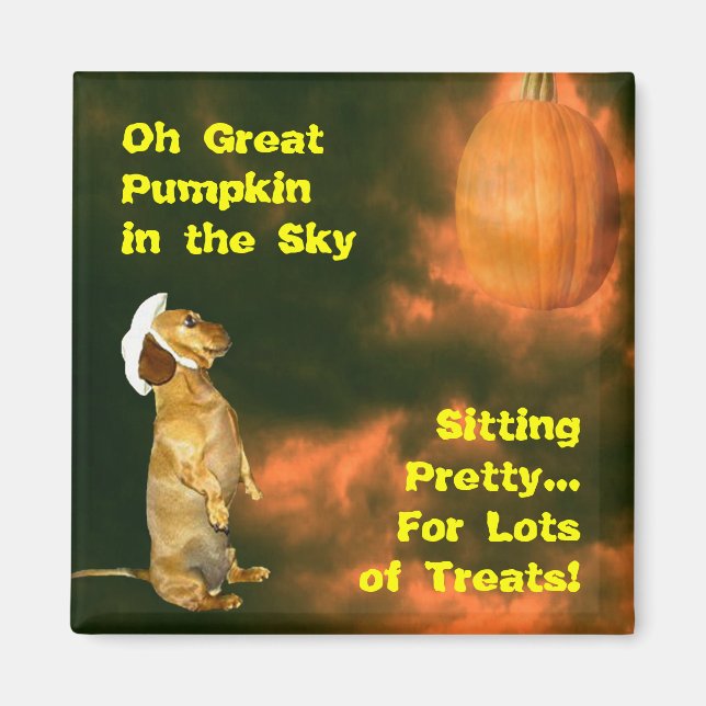 Sitting Pretty For Lots of Treats Magnet (Front)