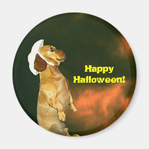 Sitting Pretty For Lots of Treats Magnet