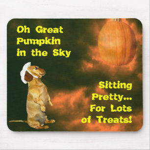 Sitting Pretty For Lots of Treats Mouse Mat