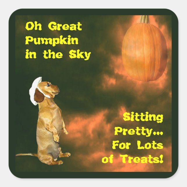 Sitting Pretty For Lots of Treats Square Sticker (Front)