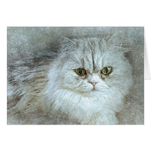 Sitting Pretty Kitty   Abstract   Watercolor