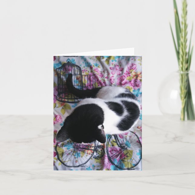 Sitting Pretty Kitty Notecard (Front)