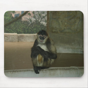 Sitting Pretty Monkey Mouse Mat