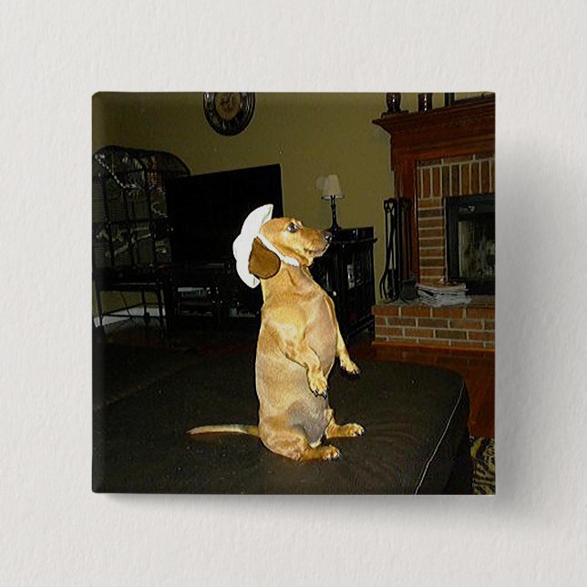 Sitting Pretty or Watching TV Dachshund 15 Cm Square Badge (Front)