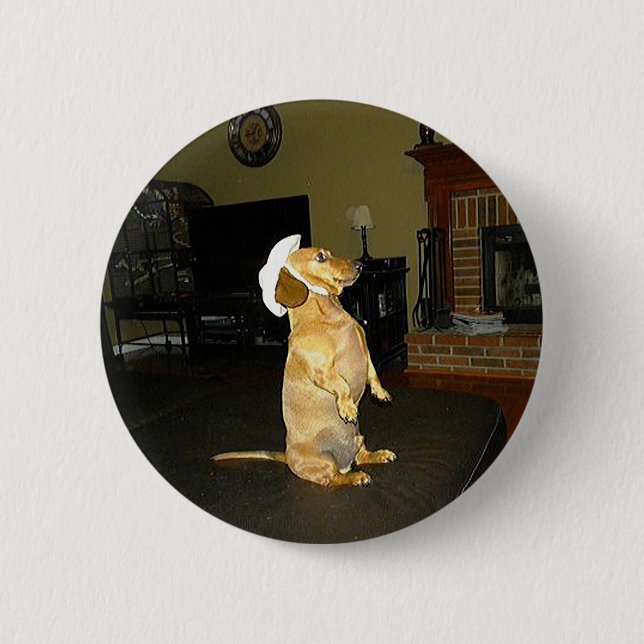 Sitting Pretty or Watching TV Dachshund 6 Cm Round Badge (Front)