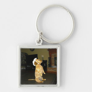 Sitting Pretty or Watching TV Dachshund Key Ring