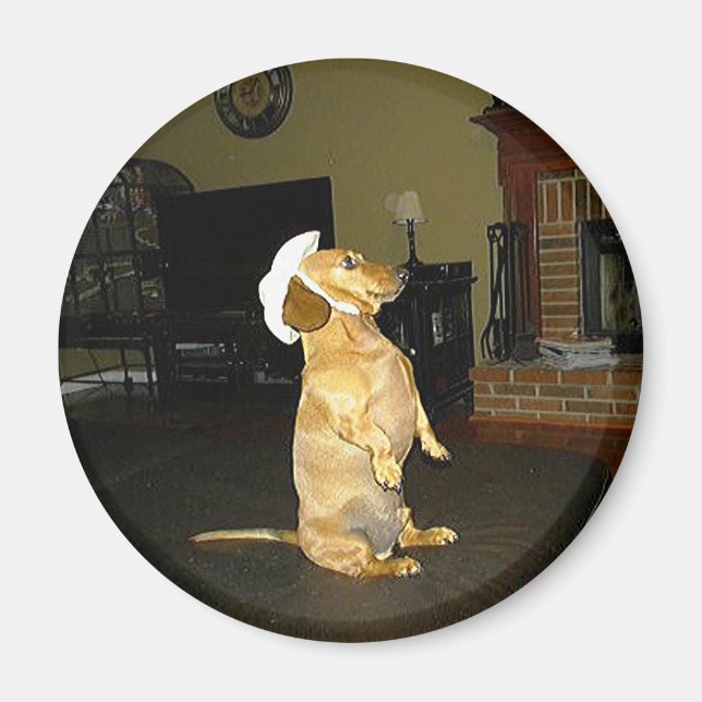 Sitting Pretty or Watching TV Dachshund Magnet (Front)