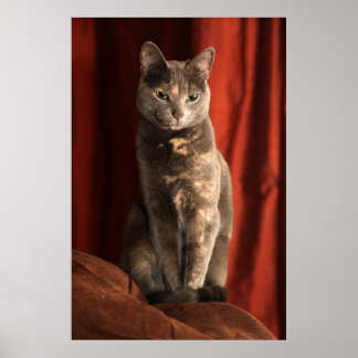 Sitting pretty poster