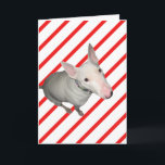 Sitting Pretty/Red and White Stripe-Christmas Card<br><div class="desc">This cute Christmas greeting card features many Red and White Striped-Candy Cane design and a white English Bull Terrier. The text on the inside of the card is set up as a template for easy customisation. The photo is of our rescued bull terrier Mackenzie sitting and looking up at the...</div>