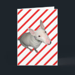 Sitting Pretty/Red and White Stripe-Christmas Card<br><div class="desc">This cute Christmas greeting card features many Red and White Striped-Candy Cane design and a white English Bull Terrier. The text on the inside of the card is set up as a template for easy customisation. The photo is of our rescued bull terrier Mackenzie sitting and looking up at the...</div>