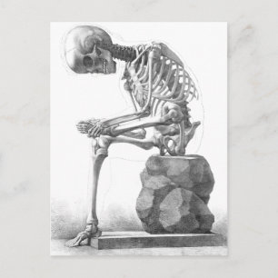 Sitting vintage skeleton thinking postcard