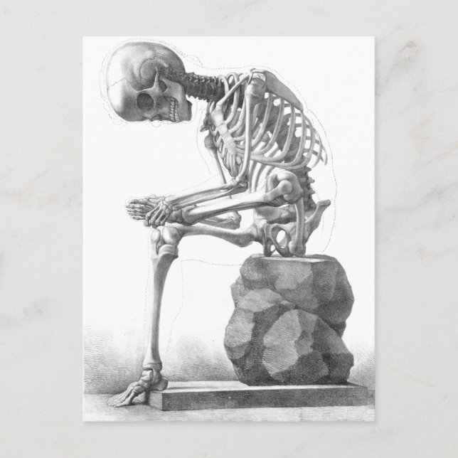 Sitting vintage skeleton thinking postcard (Front)