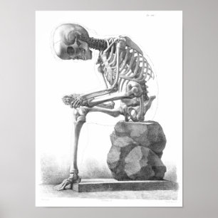Sitting vintage skeleton thinking print