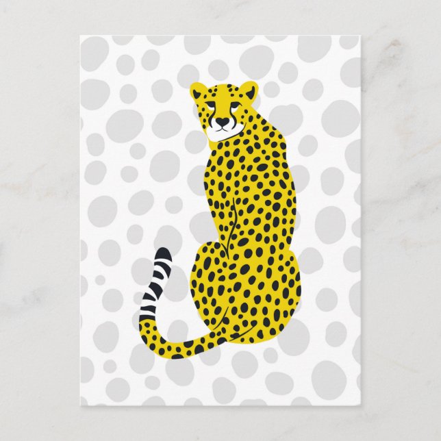Sitting Wild Cheetah Spotted Big Cat Portrait  Postcard (Front)