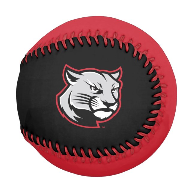 SIUE Cougars Baseball (Front Right)