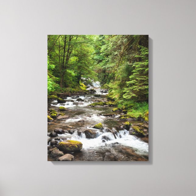Siuslaw National Forest | Sweet Creek Canvas Print (Front)