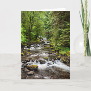Siuslaw National Forest   Sweet Creek Card