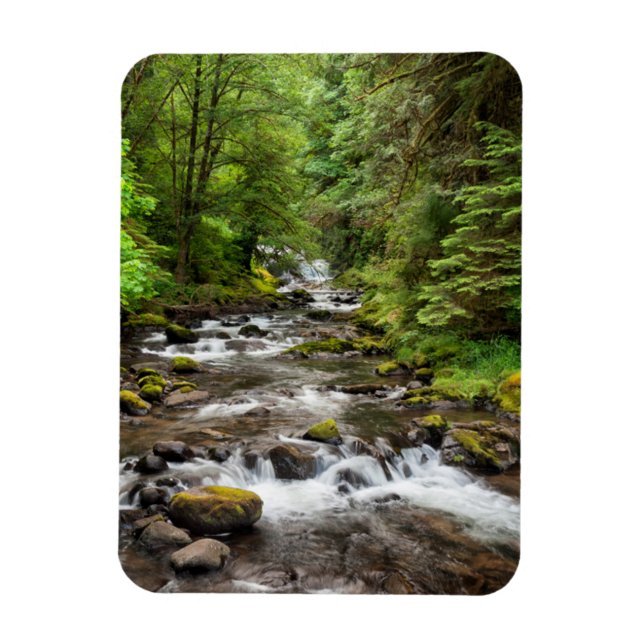 Siuslaw National Forest | Sweet Creek Magnet (Vertical)