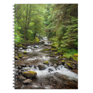 Siuslaw National Forest Sweet Creek Notebook
