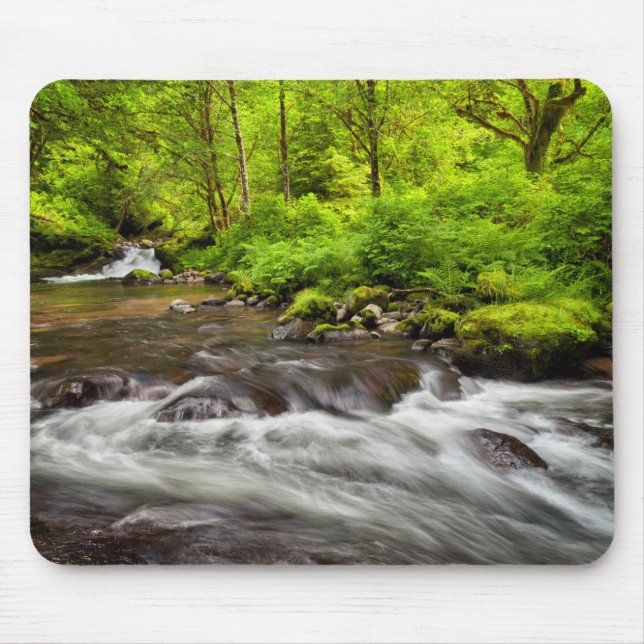 Siuslaw National Forest, Sweet Creek, Oregon Mouse Mat (Front)