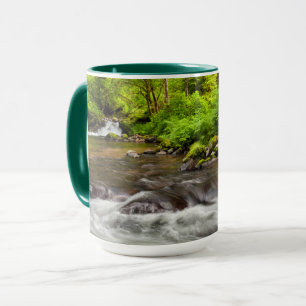 Siuslaw National Forest, Sweet Creek, Oregon Mug