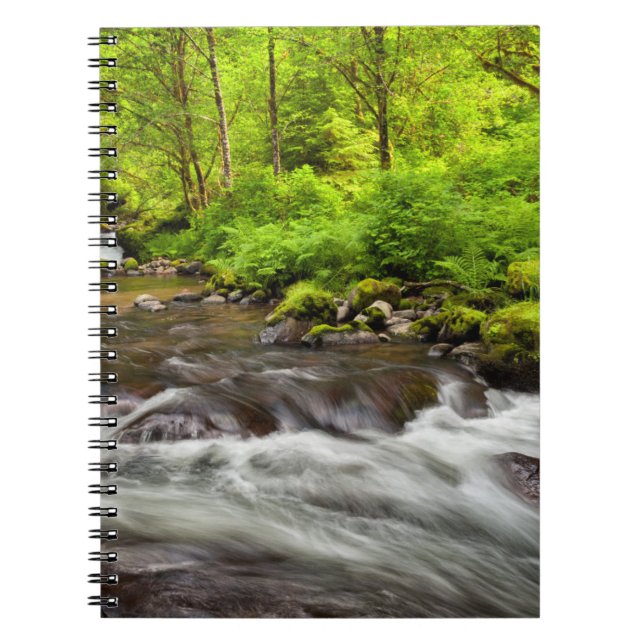 Siuslaw National Forest, Sweet Creek, Oregon Notebook (Front)
