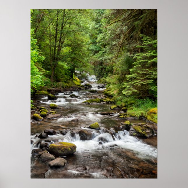 Siuslaw National Forest | Sweet Creek Poster (Front)