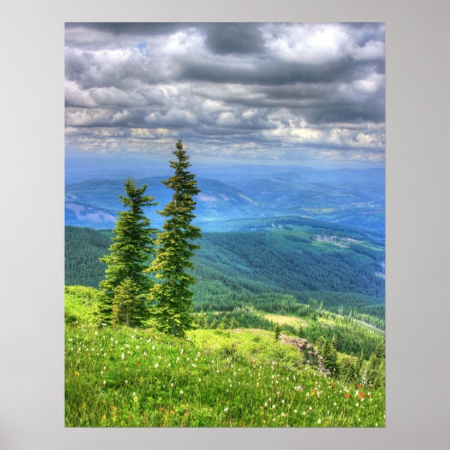 Siverstar Hdr Poster (Front)