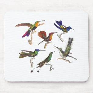 Six Colourful Hummingbirds Mouse Mat