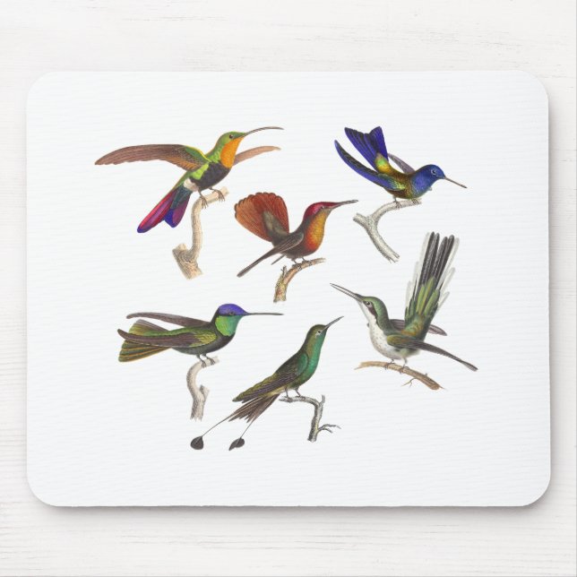 Six Colourful Hummingbirds Mouse Mat (Front)