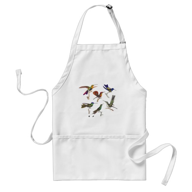 Six Colourful Hummingbirds Standard Apron (Front)