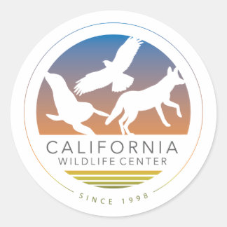 Six CWC Logo Sticker