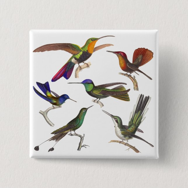 Six Different Hummingbirds - Rene Primevere Lesson 15 Cm Square Badge (Front)
