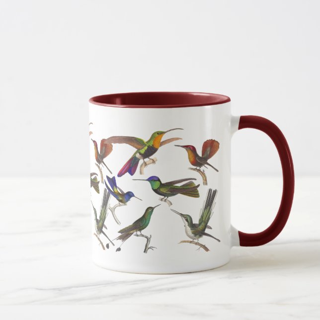 Six Different Hummingbirds Rene Primevere Lesson Mug (Right)