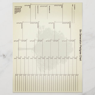 Six Generation Pedigree Paper Vintage Look